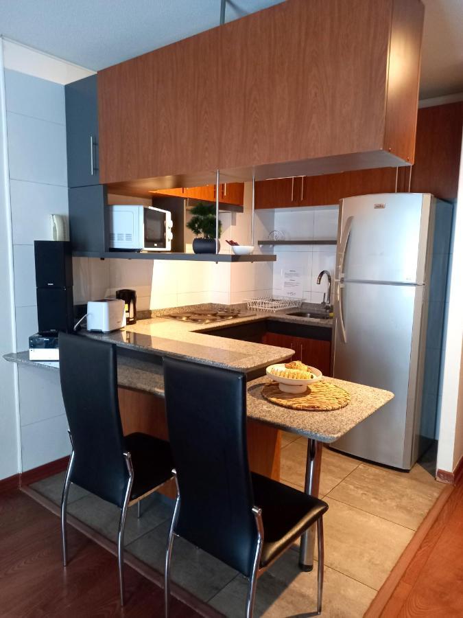Apartament Norus Providencia Santiago de Chile Zewnętrze zdjęcie