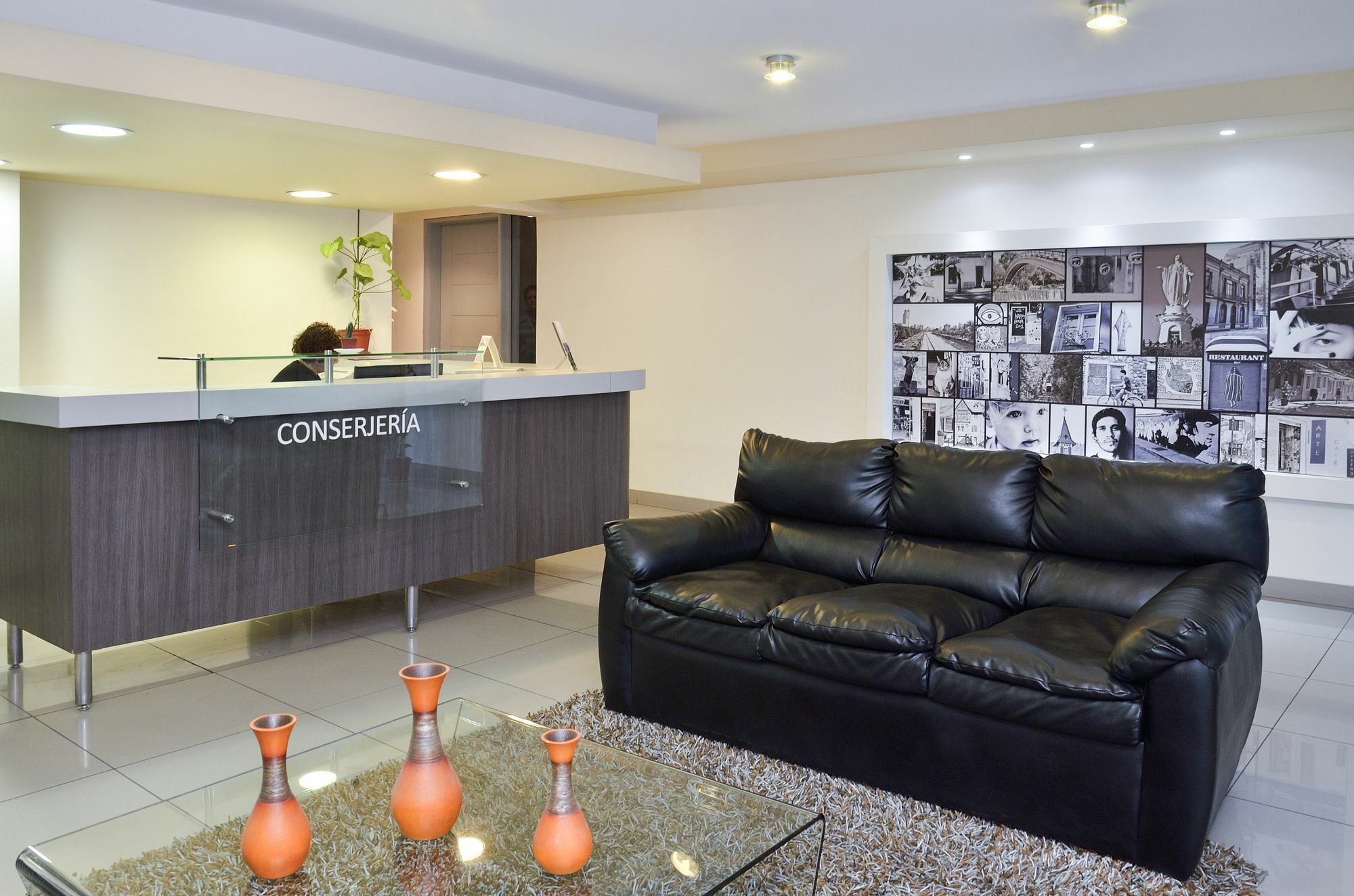 Apartament Norus Providencia Santiago de Chile Zewnętrze zdjęcie