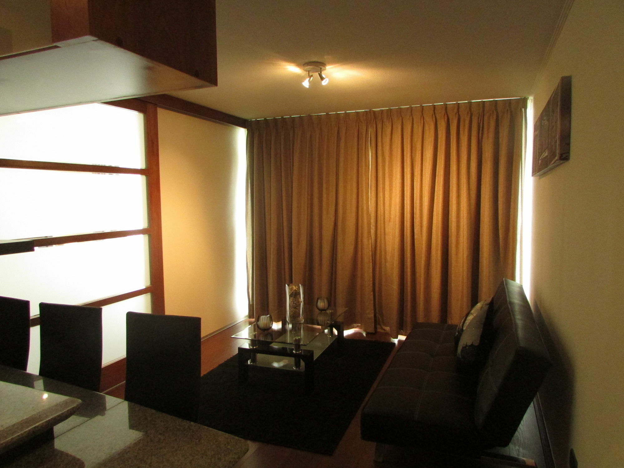 Apartament Norus Providencia Santiago de Chile Zewnętrze zdjęcie